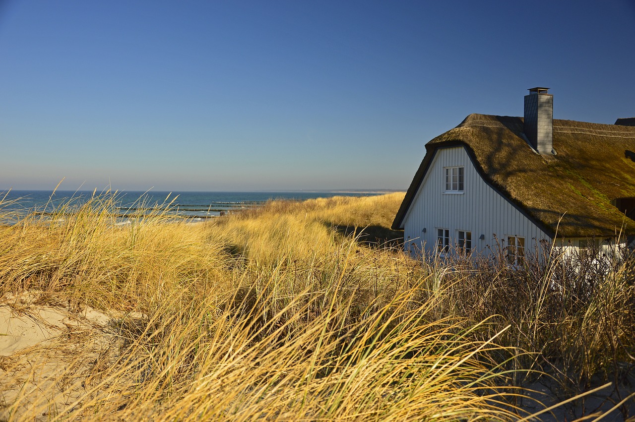 house, thatched cottage, dune-4028391.jpg