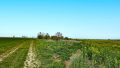 Wegblick