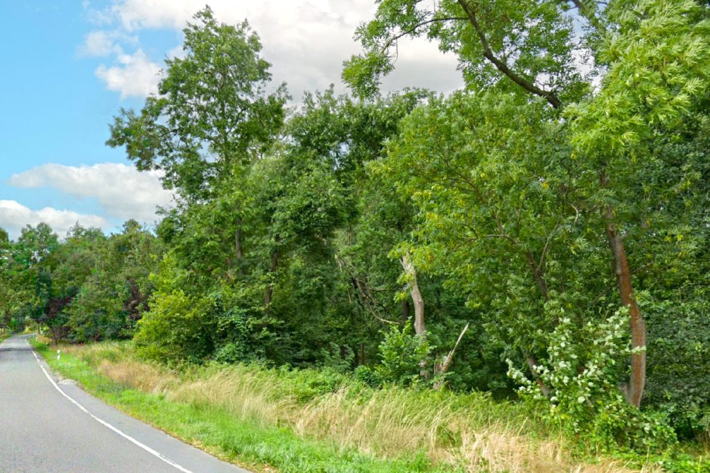 Straßenansicht von rechts