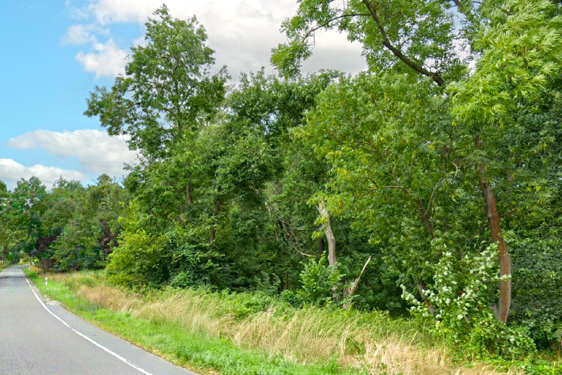 Straßenansicht von rechts