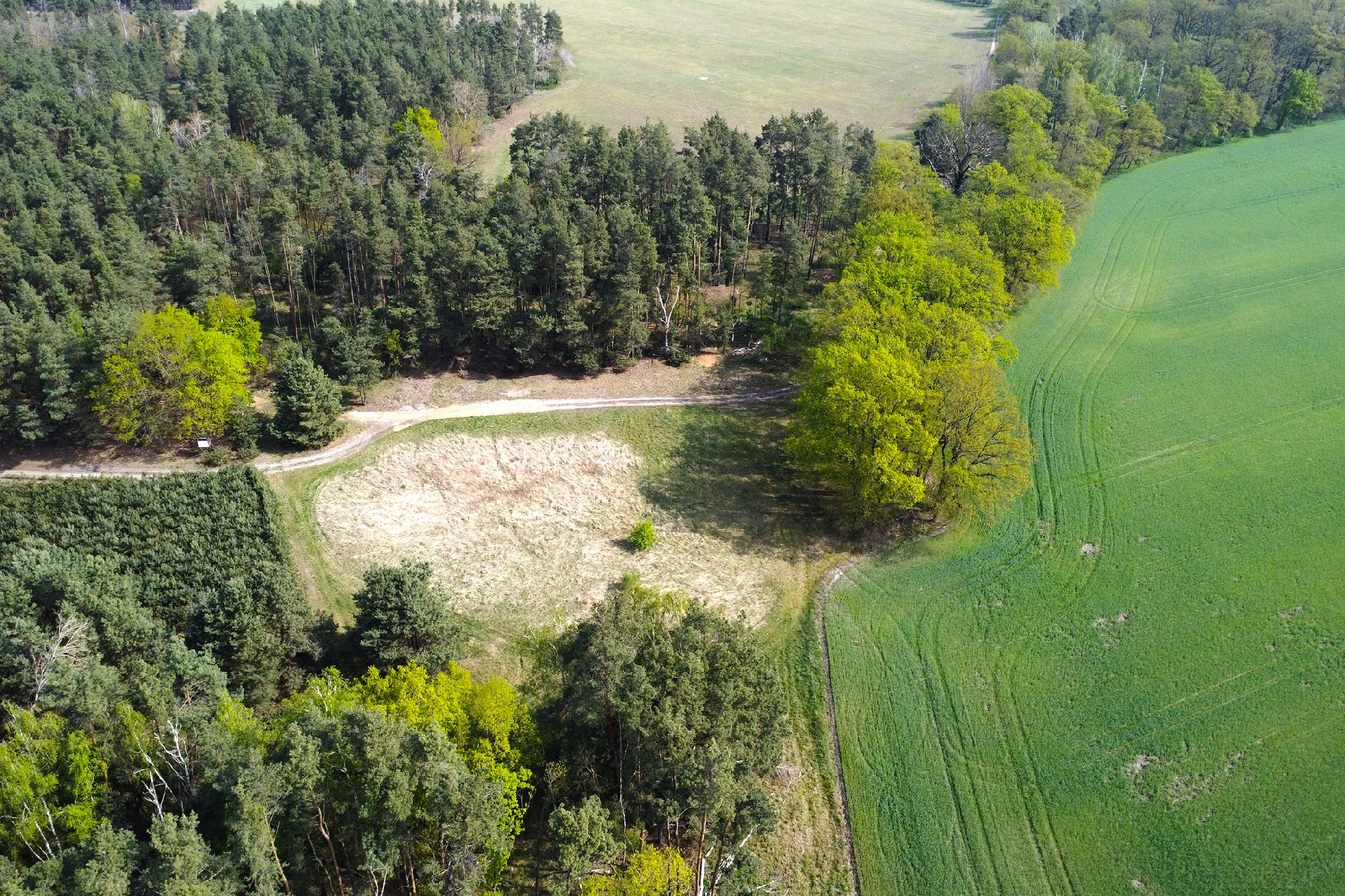 Rückansicht