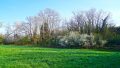 Mit Blick auf die Waldfläche