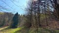 Blick aufs Grundstück