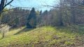Grünfläche mit Wald