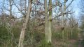 Wegblick