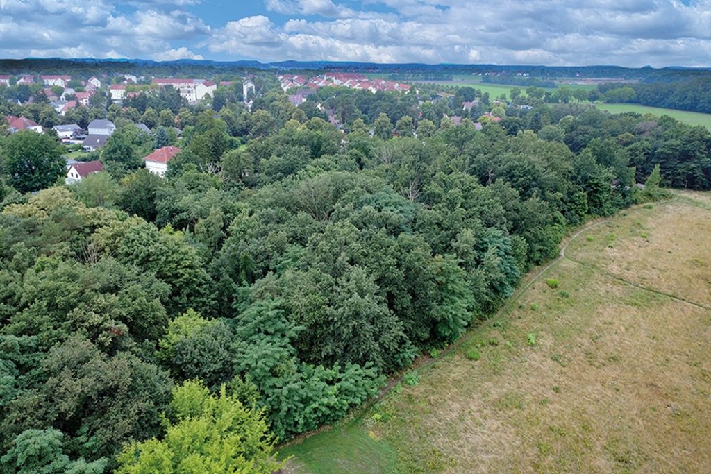 Blick auf die gesamte Fläche