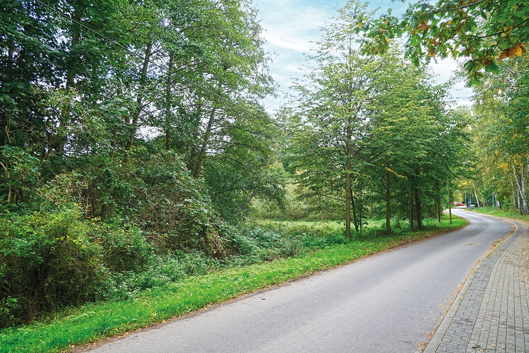 Kameruner Weg