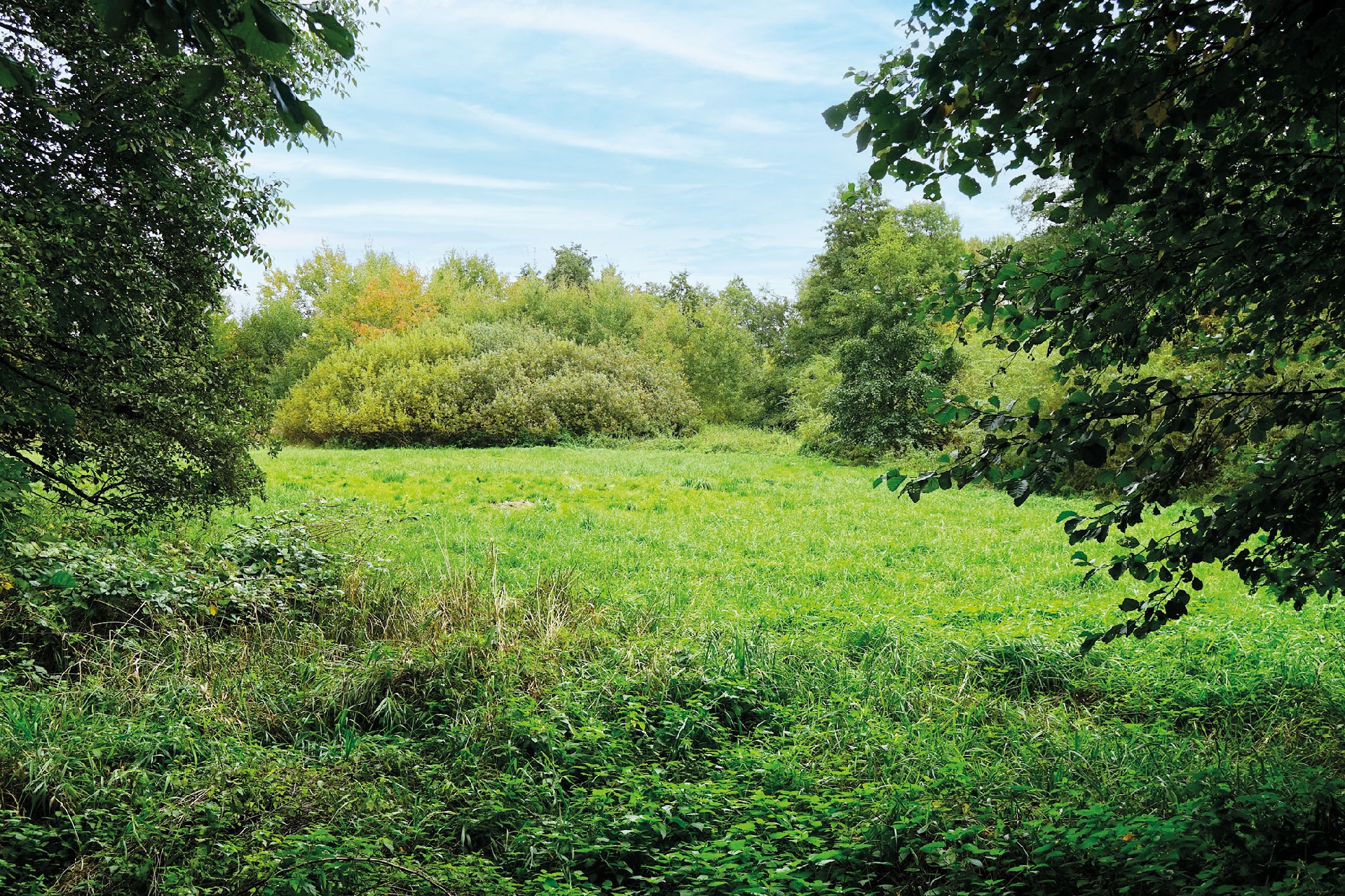 Bodenaufnahme