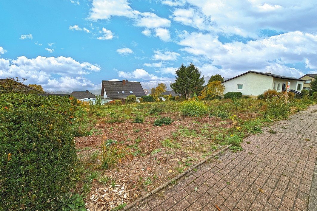 Straßenansicht links