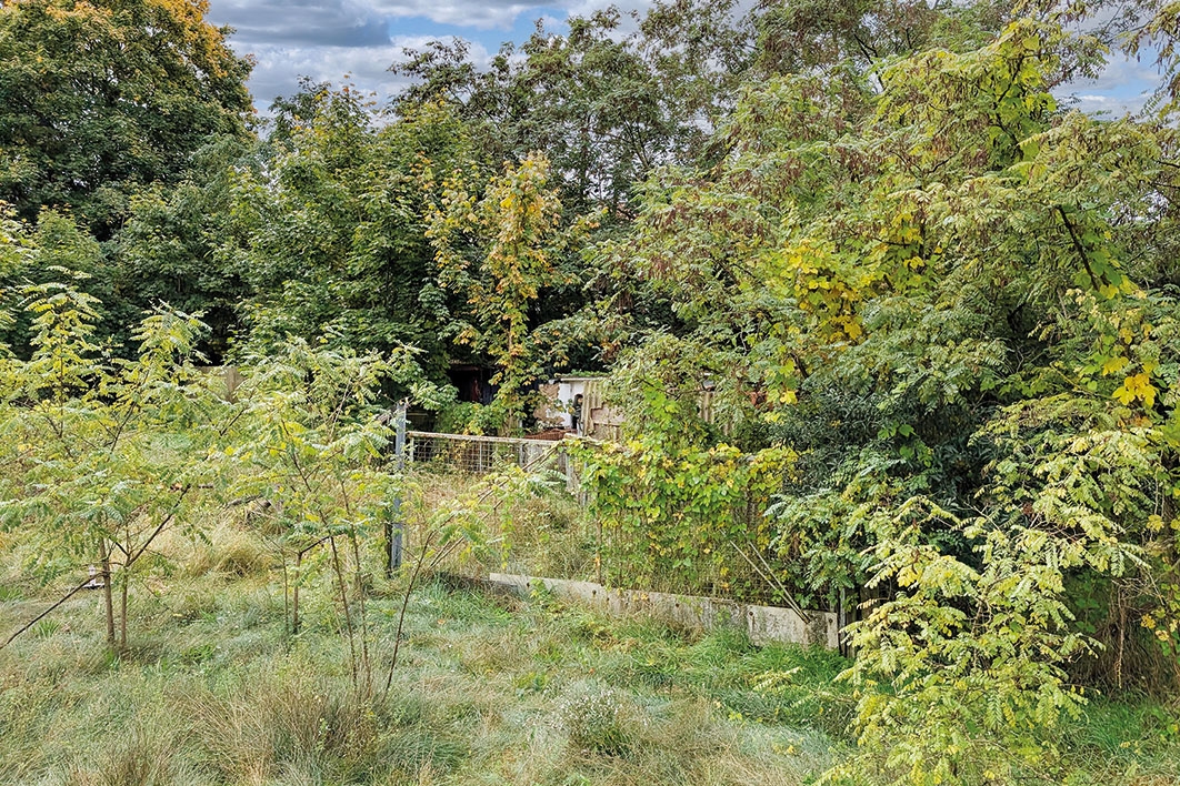 Blick auf das Grundstück