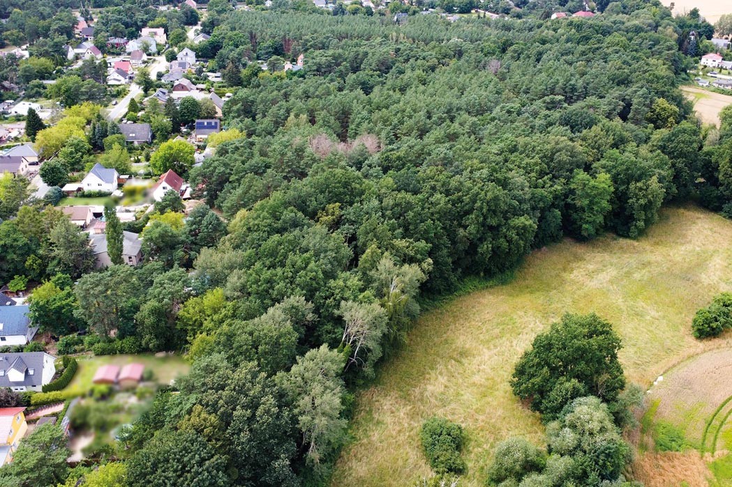 Luftaufnahme rechte Seite