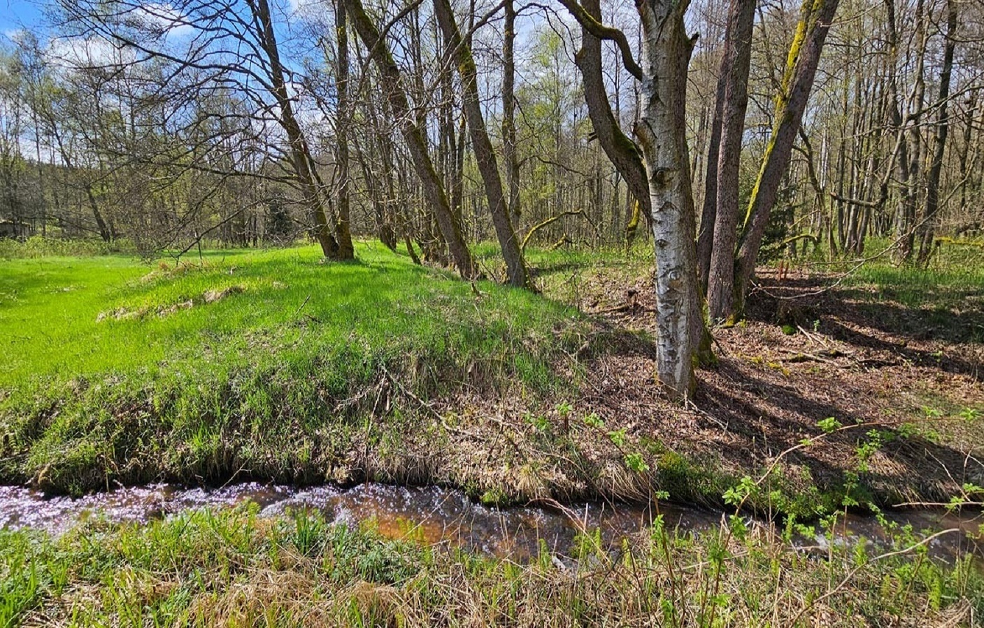 Bodenaufnahme mit kleinem Bach
