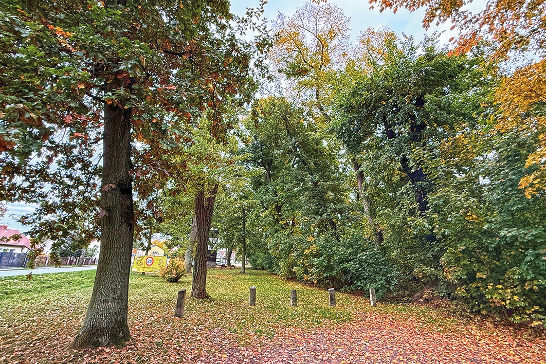 Wegansicht