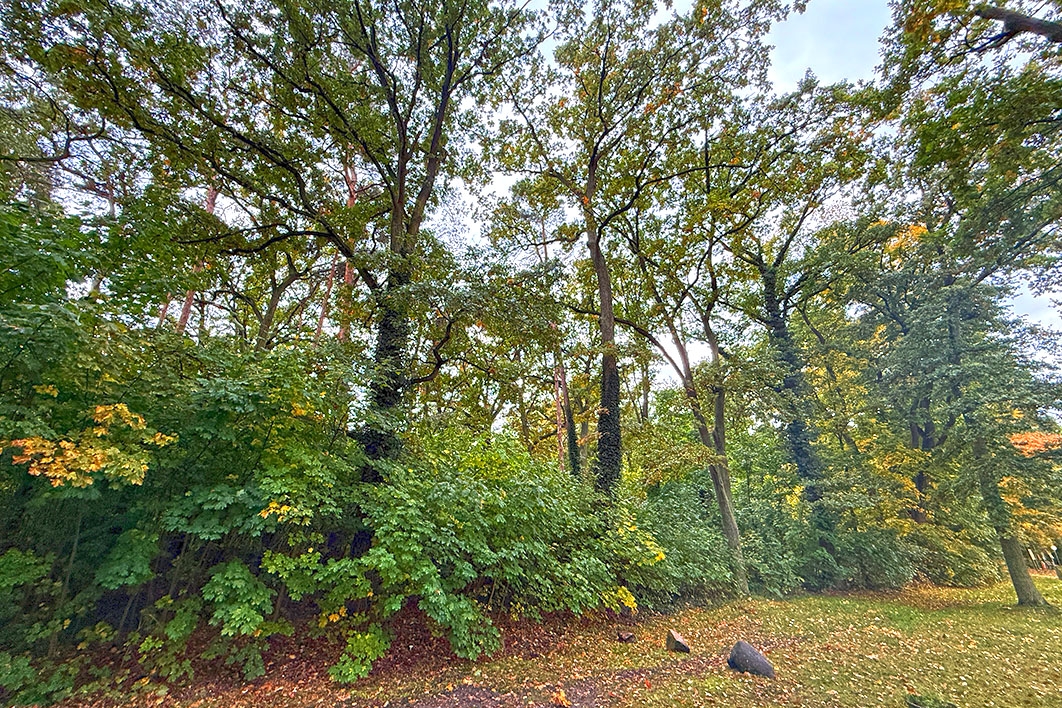 Blick aufs Grundstück