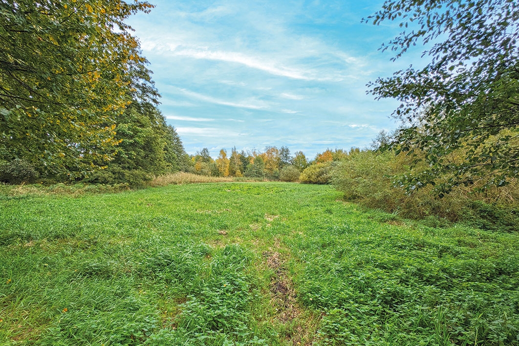 Zuwegung über Kameruner Weg