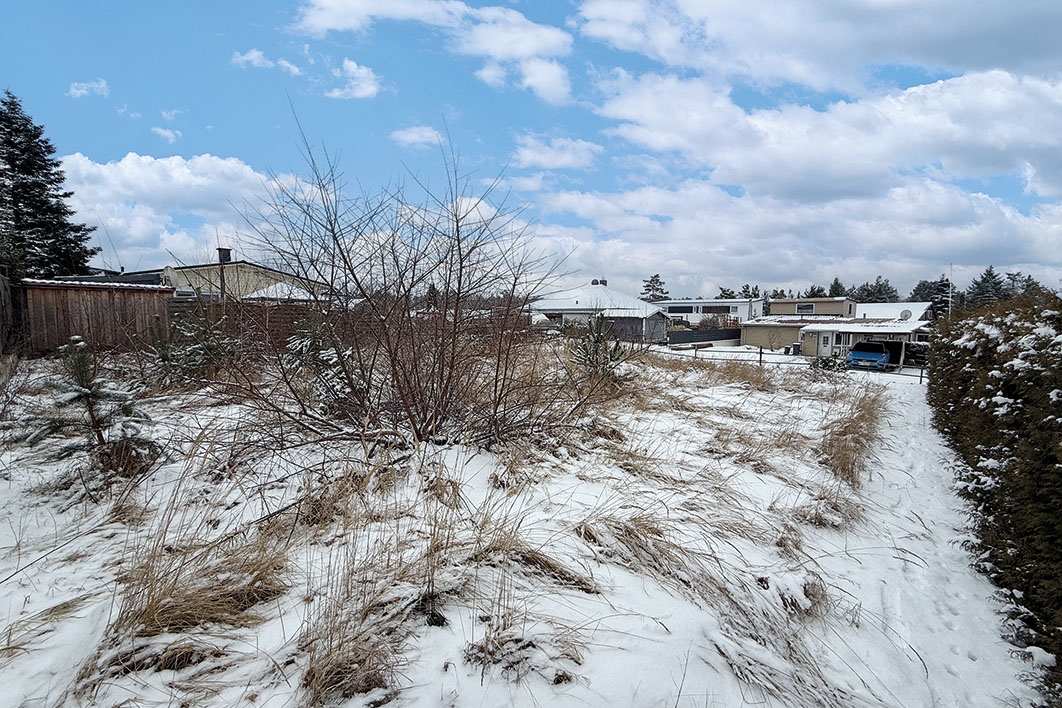 Blick von der Rückseite auf das Grundstück