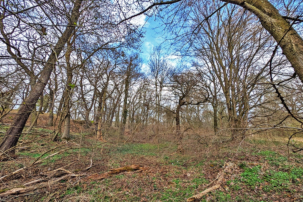 Blick auf das Grundstück