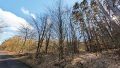 Rotbuchenbestand