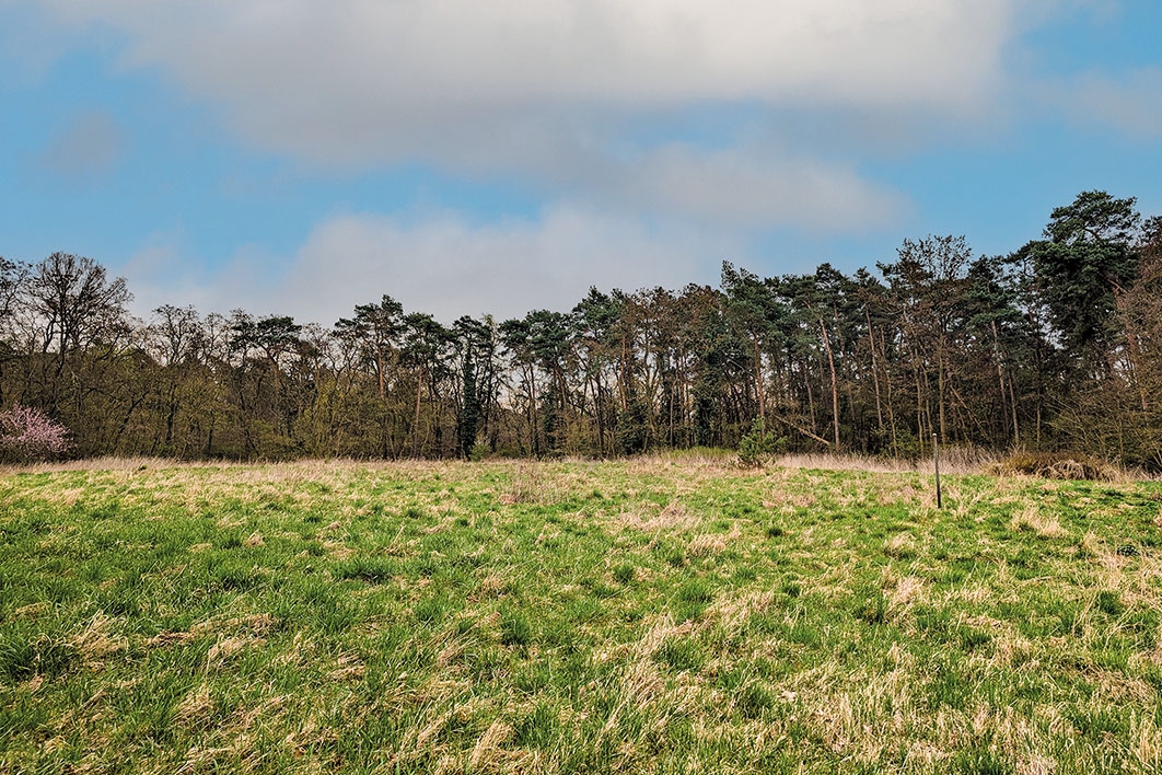 Blick auf das Grundstück