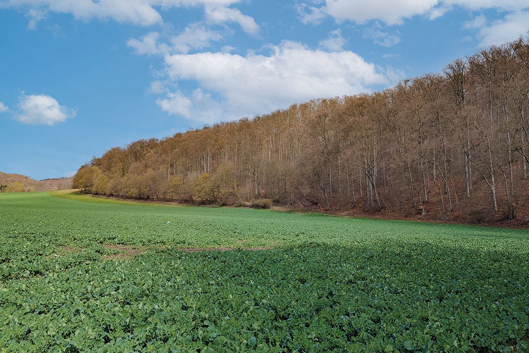 Blick auf das Grundstück