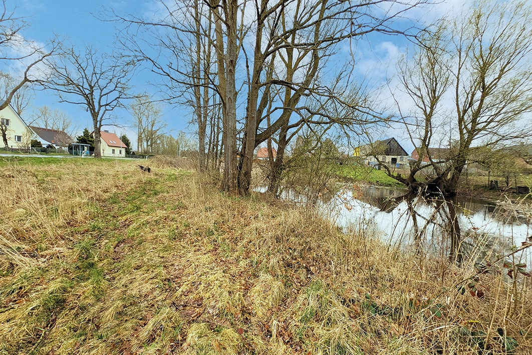 Blick auf Teich