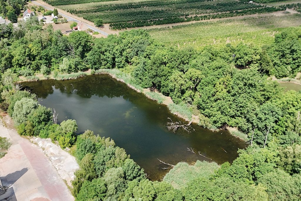Luftbild des Sees