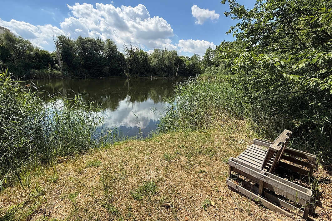 Uferbereich mit Angelstelle