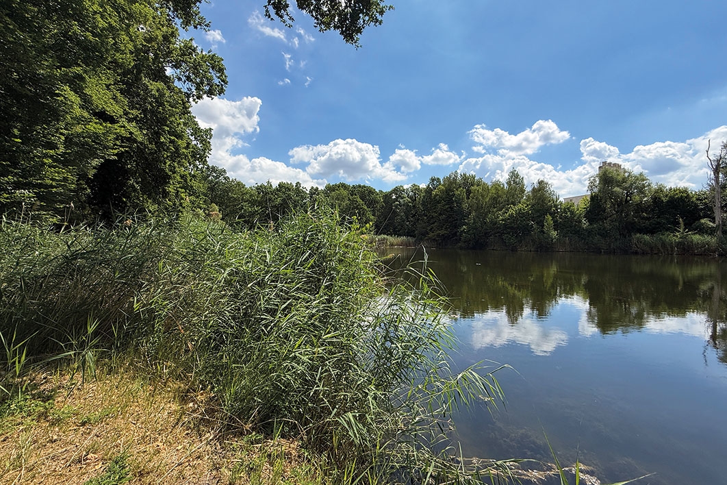 Blick auf den See