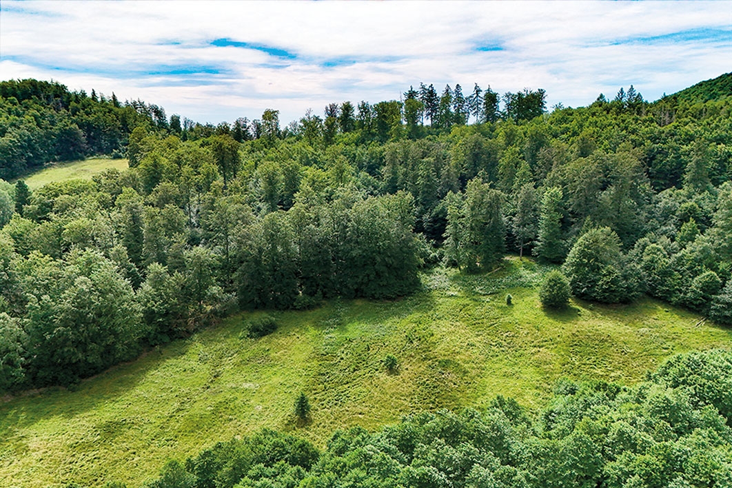 Blickrichtung Süden
