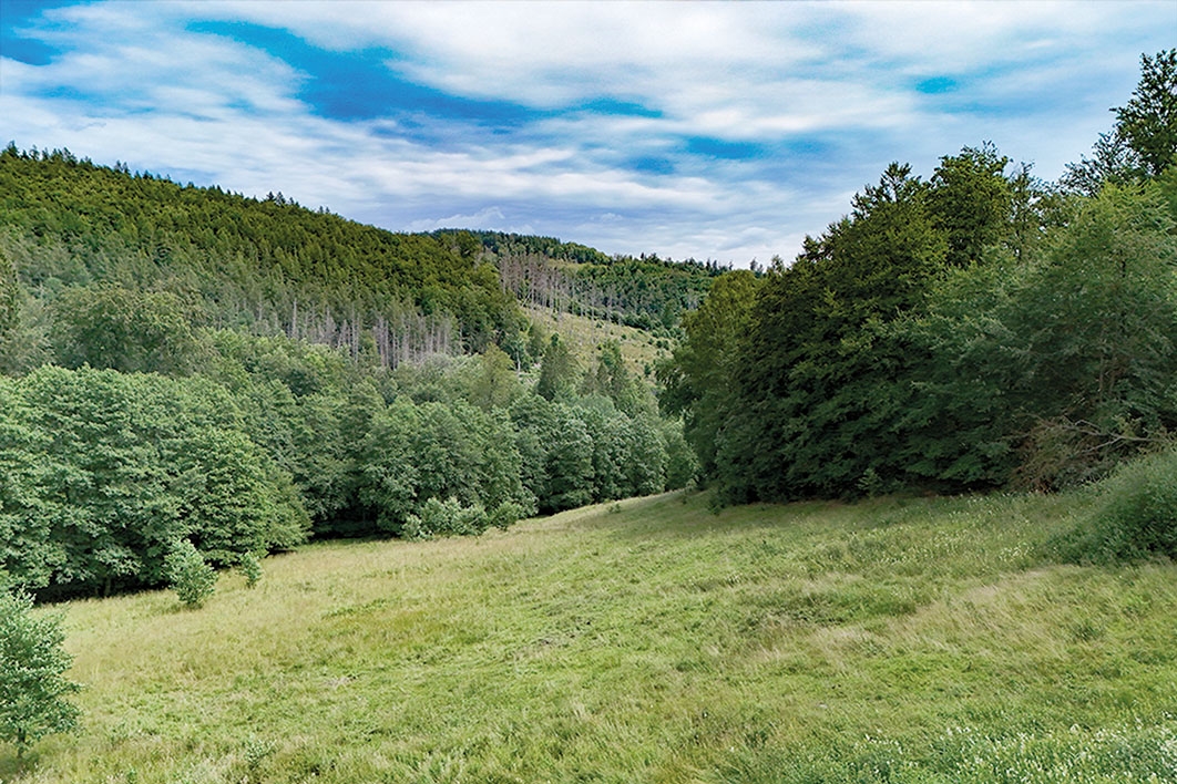 Nahaufnahme