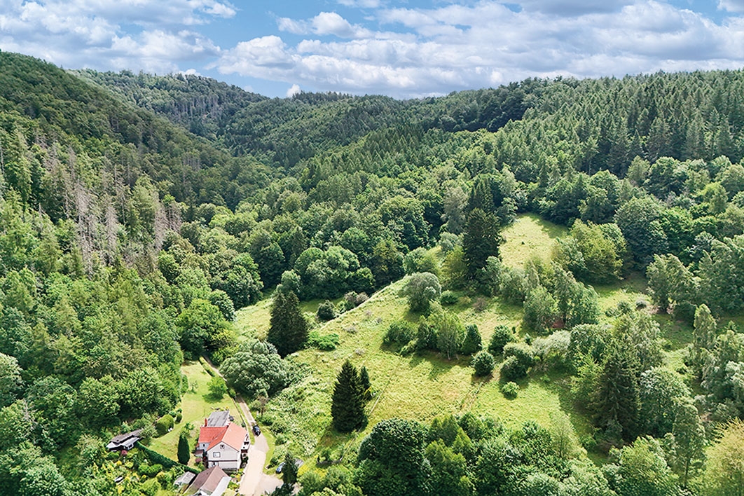 Blickrichtung Süden