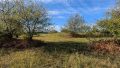 Blick auf Flst. 424-2