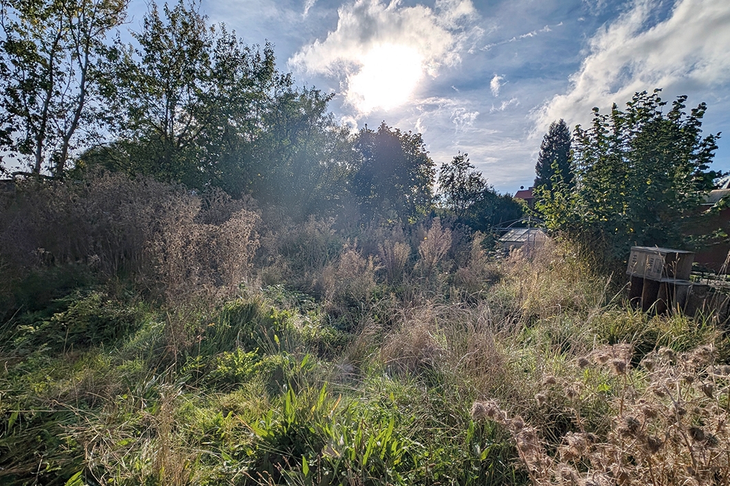 Gartenfläche
